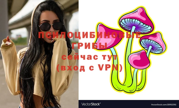 стаф Беломорск