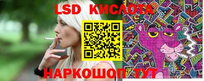 спиды Донской