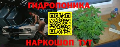 спиды Донской