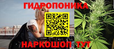 винт Дубна