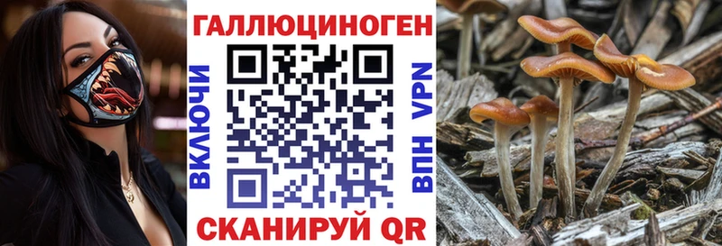 Галлюциногенные грибы ЛСД  OMG онион  Звенигород 