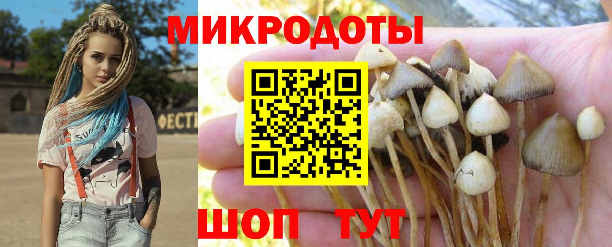 Галлюциногенные грибы Psilocybine cubensis  Вход с VPN  Звенигород 
