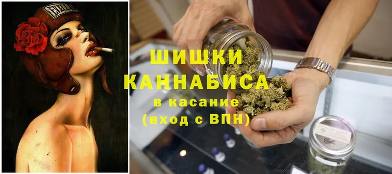 Канабис SATIVA & INDICA  Звенигород 